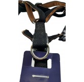 Arnés para Perro PetStar,... 2