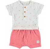 COTTON FISH - Conjunto...