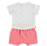 COTTON FISH - Conjunto... 2