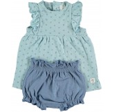 COTTON FISH - Conjunto...