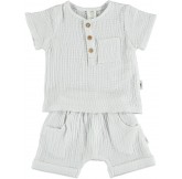 COTTON FISH - Conjunto...