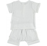 COTTON FISH - Conjunto... 2