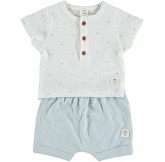 COTTON FISH - Conjunto...