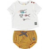 COTTON FISH - Conjunto...