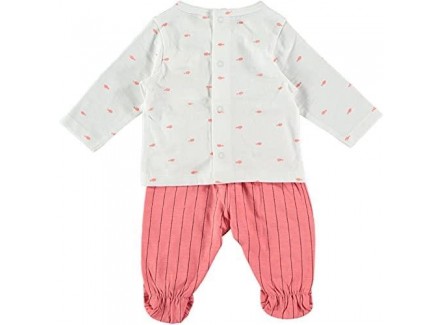 COTTON FISH - Conjunto Camiseta y...