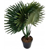 Planta Artificial, Planta...