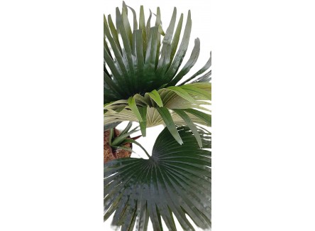 Planta Artificial, Planta Grande...