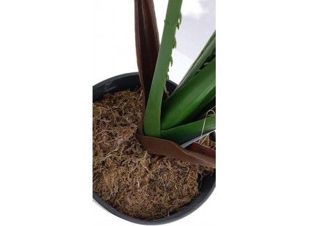 Planta Artificial, Planta Grande...