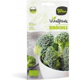 Eurogarden - Semillas...