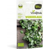 Eurogarden - Semillas...