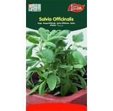 Eurogarden - Semillas...