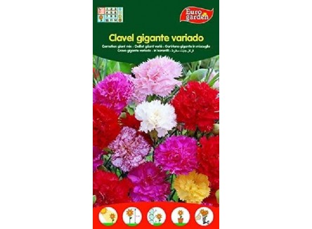 Eurogarden - Semillas de Flores...