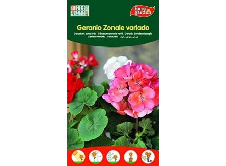 Eurogarden - Semillas de Flores...