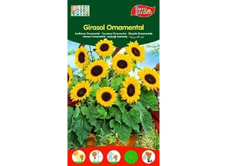 Eurogarden - Semillas de Flores...
