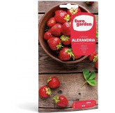 Eurogarden - Semillas... 2