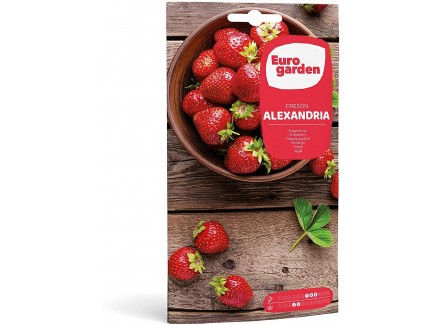 Eurogarden - Semillas Hortícolas....