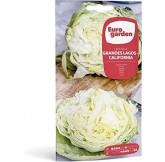 Eurogarden - Semillas...