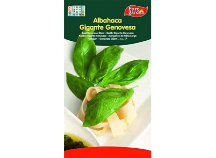 Eurogarden - Semillas Aromáticas para...