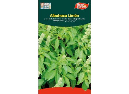 Eurogarden - Semillas Aromáticas para...