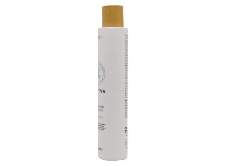 Kemon - Actyva Nutrizione, champú...