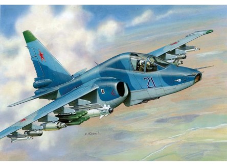 Zvezda 7217 - Maqueta avión Ruso...