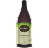 KINESSENCES RESTORE Champú...