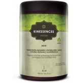 KINESSENCES RESTORE...