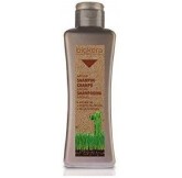 Salerm Cosmetics Champú...