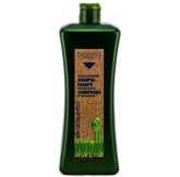 Salerm Cosmetics Champú...