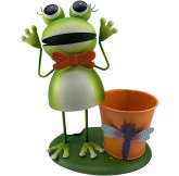 Macetero, Rana Metálica con...