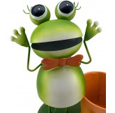 Macetero, Rana Metálica con... 2