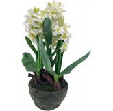 Planta, Flor Artificial... 2