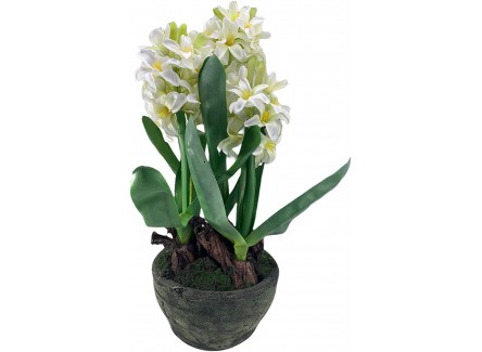 Planta, Flor Artificial Clivia Blanca...