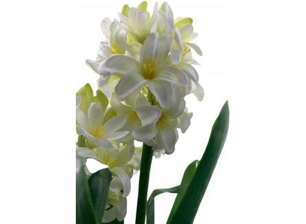 Planta, Flor Artificial Clivia Blanca...