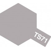 Tamiya TS71 - Pintura... 2