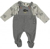 COTTON FISH - Conjunto de...